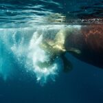 kavitacio mikor valik aldasbol atok a jelenseg elonyei es kockazatai 860x602 1