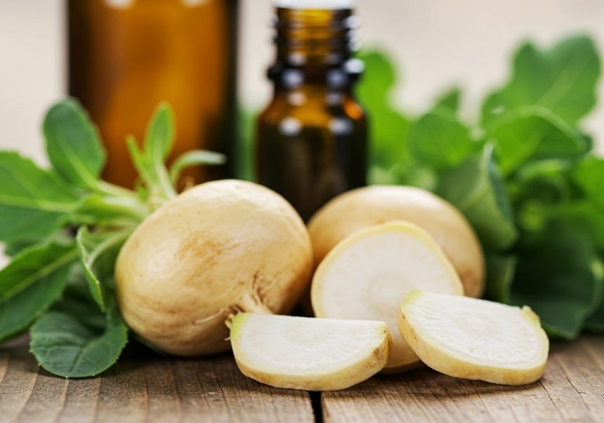 Koreň maca a jeho plody na drevenom stole s bylinkami a olejom.