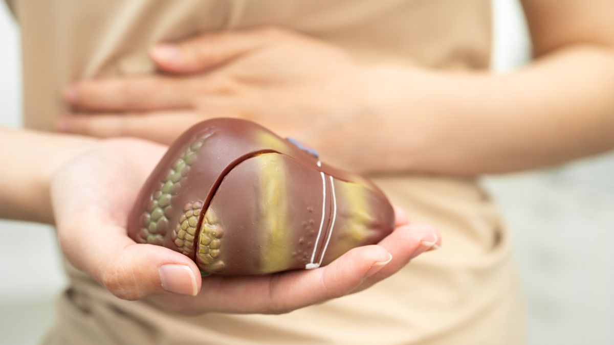 Ruka drží model pečene, symbolizujúci zdravie a detoxikáciu.