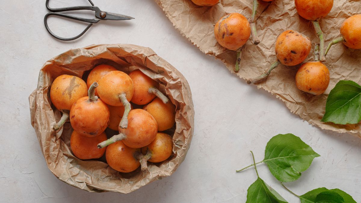 Miska plná zrelých mišpúl s niekoľkými plodmi na papieri.