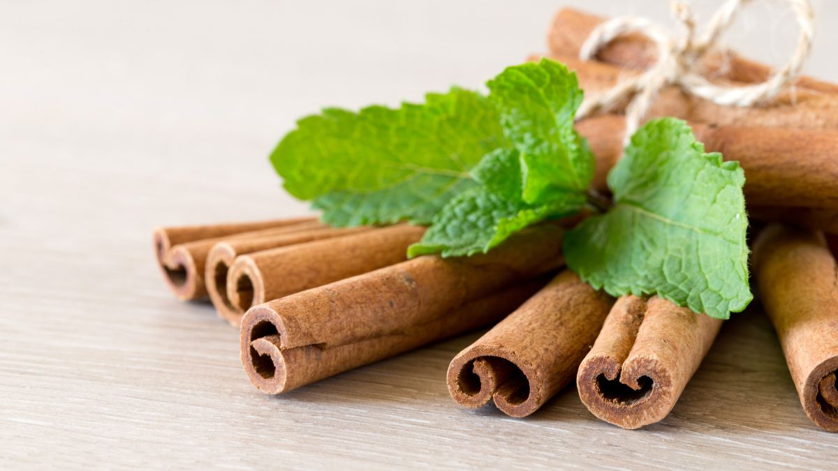 Kúsky škorice s čerstvou mätou na svetlom pozadí.