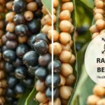 Zábery sójových bôbov s rôznymi kresbami